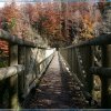 IMG_7583